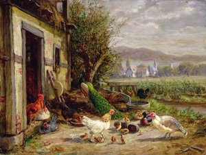 Chickens, Ducks and a Peacock by a Canal by Anton Hoffmann