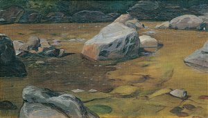 Rocks in the Stream