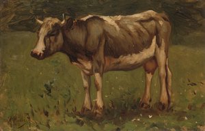 Cow