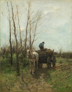Gathering Wood