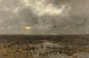 The Marsh