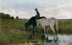 Watering Horses