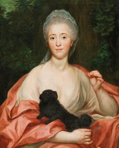 Portrait of Duchess Mariana de Silva-Bazán y Sarmiento 1739-1784, with dog, ca 1760