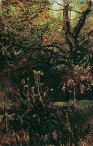 Forest Clearing with Thistles