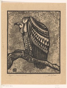 Vulture by Anton Vincent Emanuel Pohl (signed by artist)