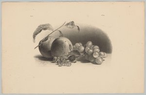 Apples, Berries, Blackberry, and Grapes (Flower and Fruit Studies, 3rd Issue) by Anton Weiss