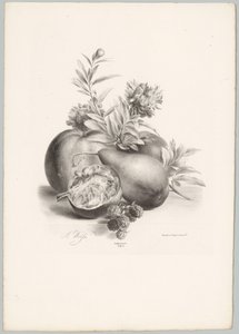Flowers, Apples, Pear, Pomegranate, and Blackberries (Flower and Fruit Studies, 10th installment) by Anton Weiss