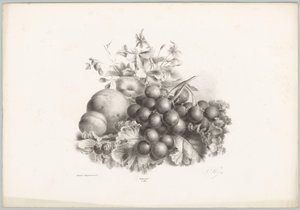 Flowers, Peach, Nectarine, Grapes, and Blackberries (Flower and Fruit Studies) (10th installment) (series title) by Anton Weiss