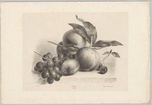 Grapes, Plum, Peaches, and Cherries (Flower and Fruit Studies, 10th installment) by Anton Weiss