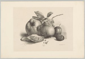 Fruit, Plums, and Oysters by Anton Weiss