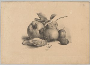 Fruit, Plums, and Oysters (Flower and Fruit Studies, 10th Issue) by Anton Weiss