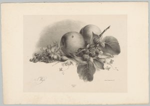 Peaches, Berries, Hazelnuts, and Blackberries by Anton Weiss