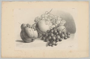 Pumpkin, Berries, Grapes, and Peaches (Flower and Fruit Studies, 3rd Issue) by Anton Weiss