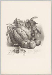 Pumpkin, Tomatoes, and Cherries (Flower and Fruit Studies, 10th Issue) by Anton Weiss