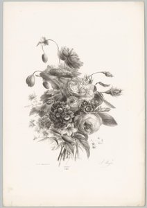 Roses and Other Flowers (Flower and Fruit Studies, 10th Issue) by Anton Weiss