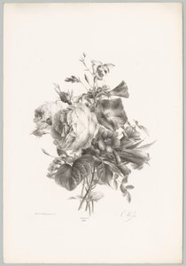 Roses and Cup-shaped Flowers (Flower and Fruit Studies, 10th installment) by Anton Weiss