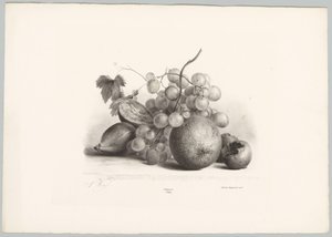 Figs, Grapes, and Orange by Anton Weiss