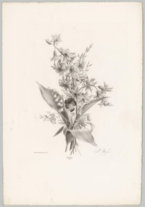Violet and Hyacinth and Bell-Shaped Flowers (Flower and Fruit Studies, 10th Issue) by Anton Weiss