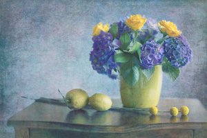 Purple Hydrangeas Yellow Roses