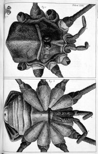 Microscopy