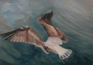 Seagull Coming into Land, 2012