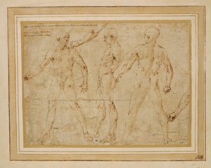 Three Male Nudes, Front, Back, Profile by Antonio (attr. to) Pollaiuolo