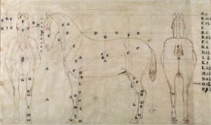 Study for a horse for an equestrian monument by Antonio Canova