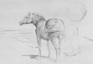 Horses at Coolmore, 1990 by Antonio Ciccone