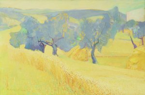 Olive Trees in Tuscany, 1966
