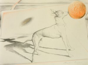 Space Dog