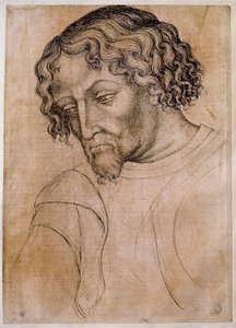 Bust of bearded man, three-quarters head leaning to the left. Drawing from the workshop of Antonio di Puccio Pisano dit Pisanello. Feather (drawing), blood. Louvre, drawing firm by Antonio Pisanello