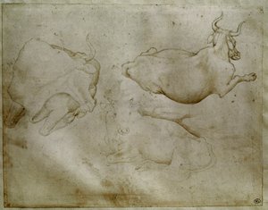 Two cows and a juniper. Drawing by Antonio di Puccio Pisano dit Pisanello by Antonio Pisanello