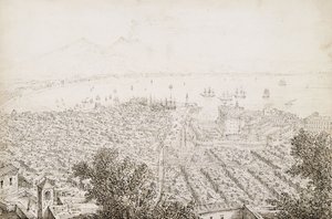 Panoramic View of Naples by Antonio Senape