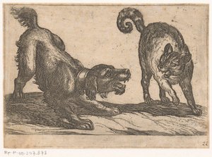 A Dog Fighting with a Cat (Fighting Animals)
