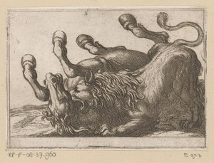 A Lion Biting the Neck of a Horse