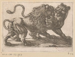 A Lion Fighting with a Lioness by Antonio Tempesta