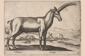 Goat-like Creature by Antonio Tempesta