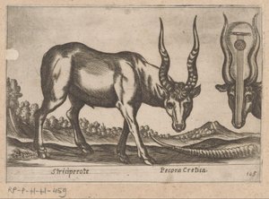 Two Antelopes by Antonio Tempesta