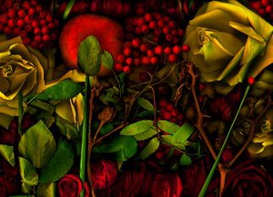 Magic Garden No.36, 2011