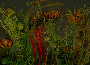 Anderswelt No.92, 2019