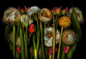 Earthart Flora No.3, 2024