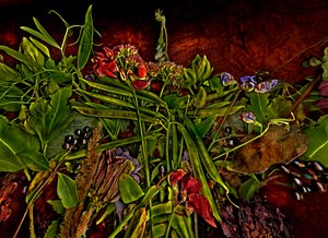 Still-life M 3, 2014