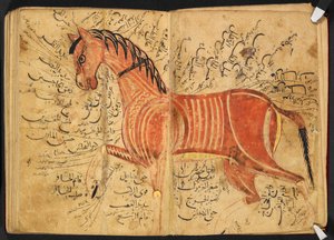Horse, from 