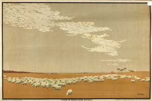 A Flock of Merino Sheep - Australia, from the series 