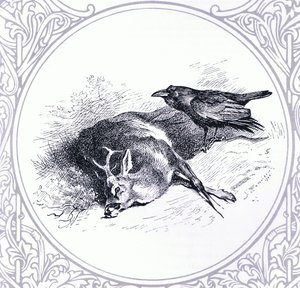 Deer and Raven, pub. by Book Club Associates by Archibald Thorburn