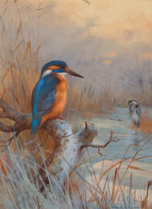 Frozen Out - Fishers: Kingfisher and Heron in a Winter Landscape