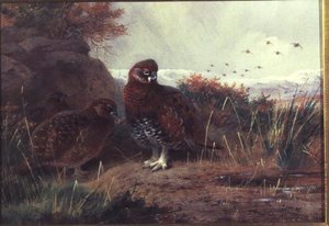 Grouse in a Winter Landscape by Archibald Thorburn