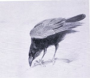 Raven, pub. by Book Club Associates by Archibald Thorburn