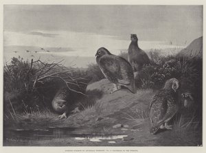 Sporting Subjects, Daybreak on the Twelfth by Archibald Thorburn