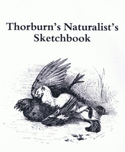 Title Page (Stoat and Gamebird), pub. by Book Club Associates by Archibald Thorburn
